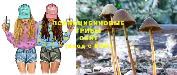 каннабис Абаза