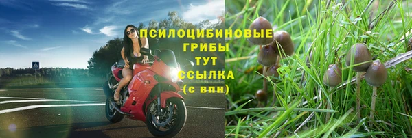 ECSTASY Алзамай