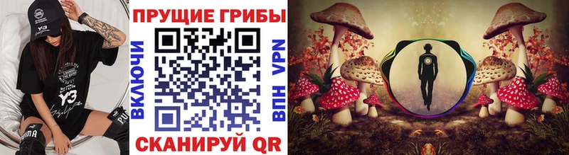 что такое   Кызыл  Псилоцибиновые грибы ЛСД 