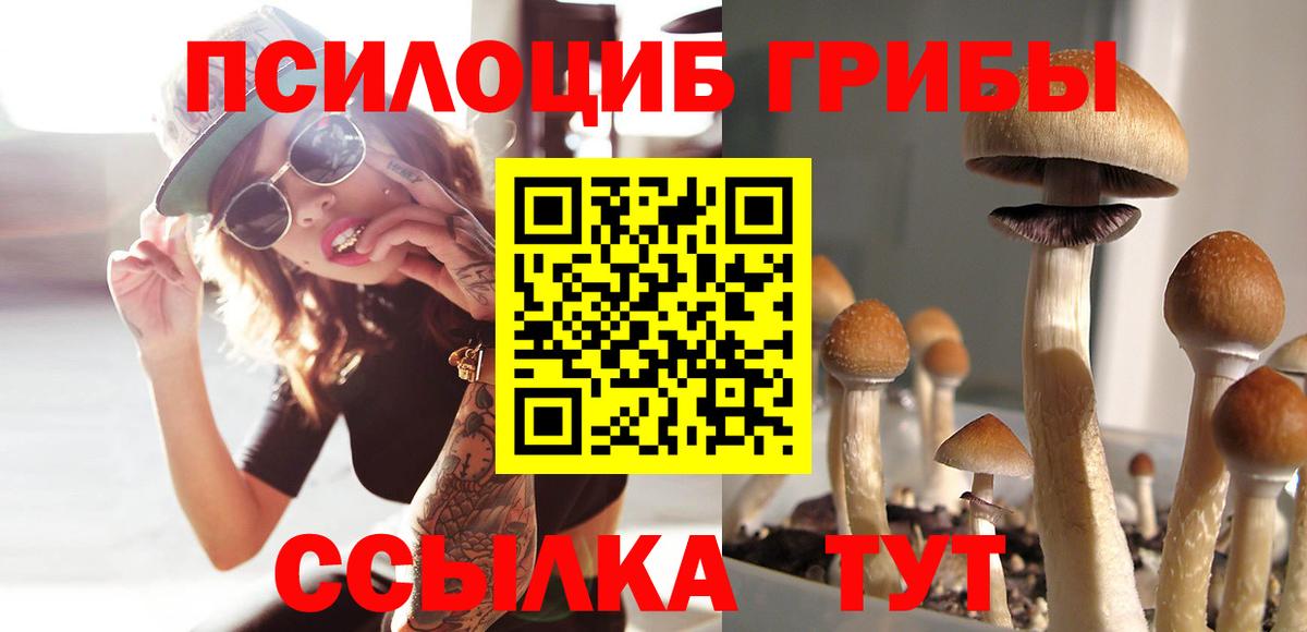Галлюциногенные грибы Magic Shrooms  Вход с VPN  Псилоцибиновые грибы мухоморы  Кызыл 