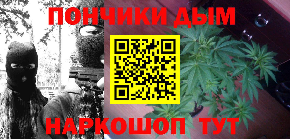 МАРИХУАНА семена Кызыл